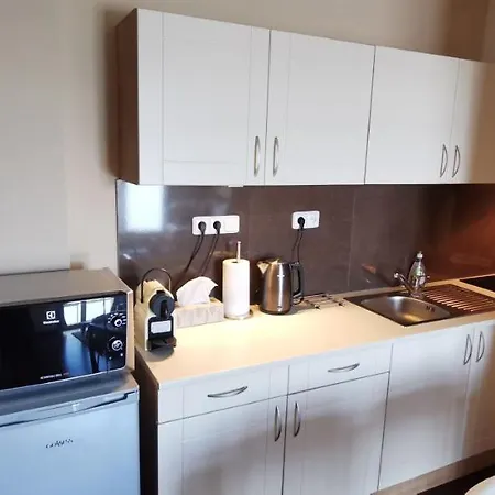 Moser Carlsbad Apartment